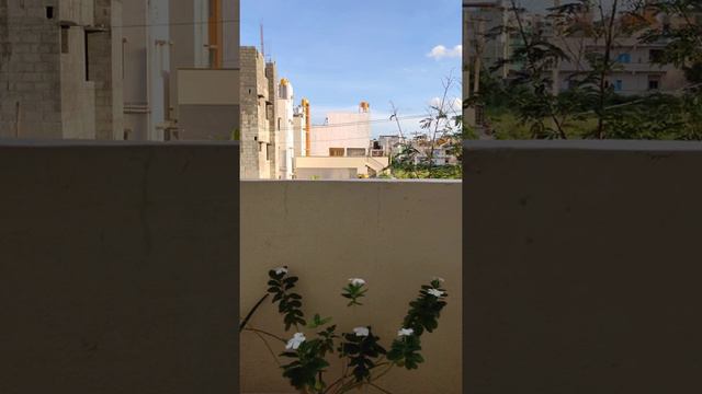 Abdul Razak - Steal My Girl (Short Cover) смотреть онлайн