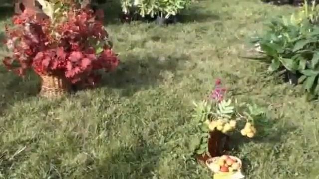 Праздник урожая смотреть онлайн