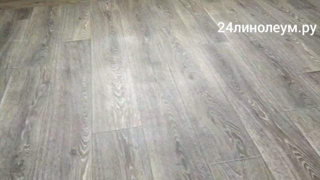 Самый прочный линолеум Таркетт Форс 1 комнатная Караульная 38 без приклейки смотреть онлайн