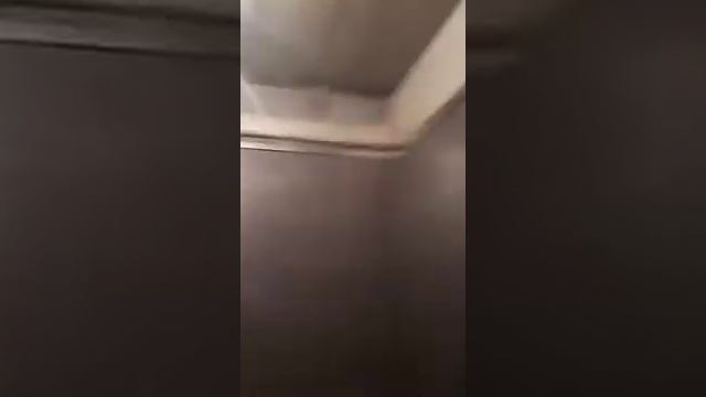 Новый объект, часть 1. смотреть онлайн