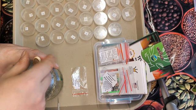 Садовый мастер