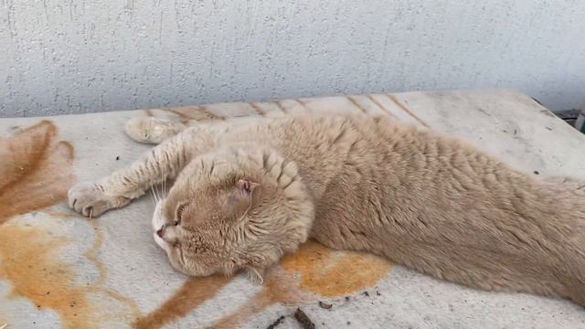 Мои дети учатся забивать гвозди и пилить - вот такое творчество/30.05.21 смотреть онлайн