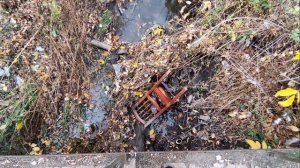 ГОРОД  ЕЛЕЦ ДОСТОПРИМЕЧАТЕЛЬНОСТИ