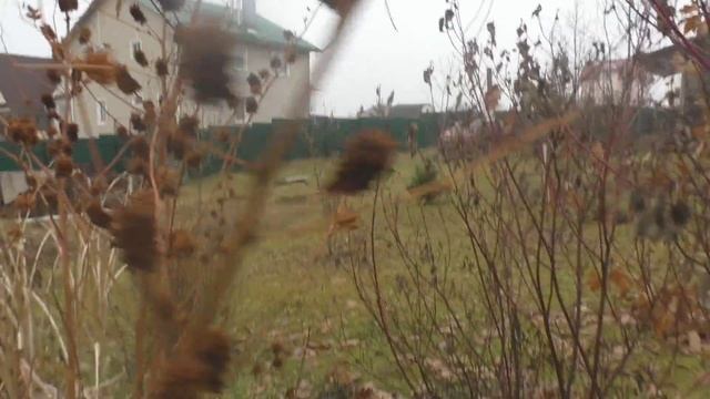 Цветник "сельские мотивы" смотреть онлайн