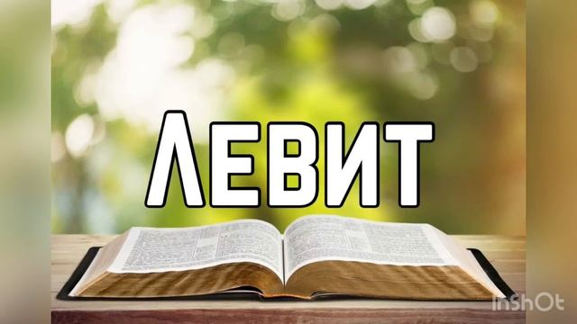 Библия, Левит 24 глава смотреть онлайн