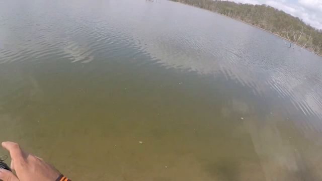 MONSTER Tilapia, Carp On Blades At Wyaralong Dam ~ Fisherman's Diary Ep 244 смотреть онлайн