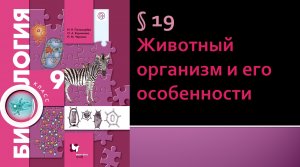 Животный организм и его особенности