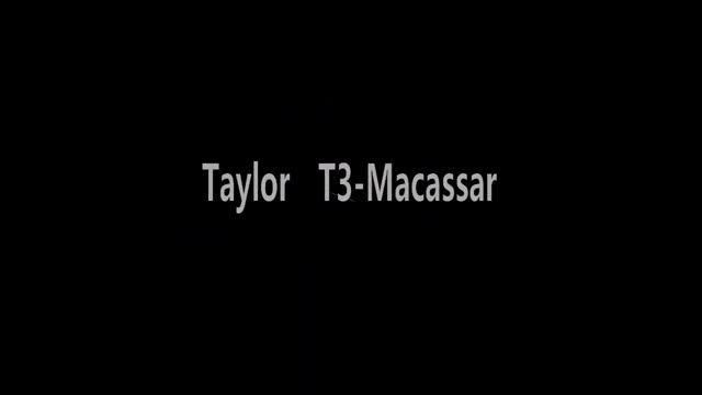 Rickenbacker vs Taylor (Comparison of Flat Top Semi-Hollowbody Guitars) смотреть онлайн