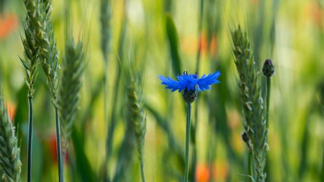 Переходы для ProShow Producer ч 12 от efrosnv смотреть онлайн