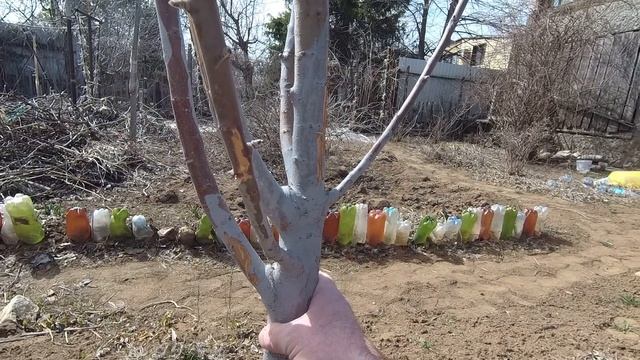 Цены на шиномонтаже. Дача(02.04.2022) смотреть онлайн