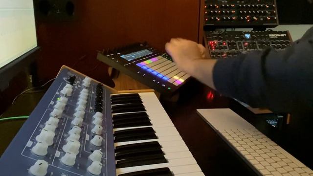 Cathartic - Deep minimal house jam (Vermona 14, Novation Peak, Sequential Rev 2, Ableton Push) смотреть онлайн