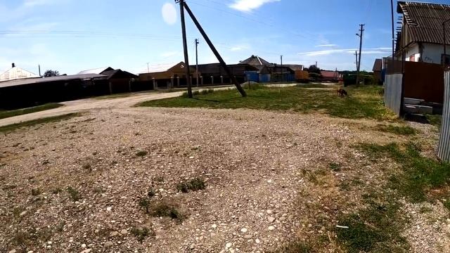 На пути к мечте!!! Банда зажигает! Питбуль/Волк/Колобок/щенки питбуля. смотреть онлайн
