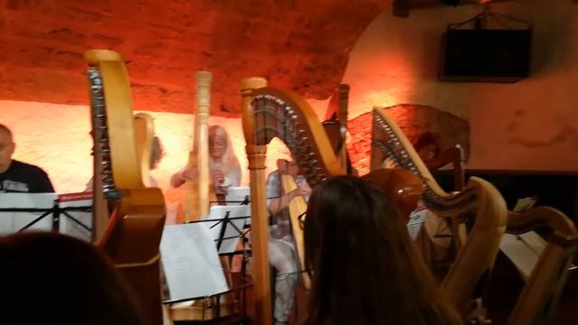 Burghauser Harfenfrühling 2018 - Anfängerkurs mit Johanna Dammert смотреть онлайн