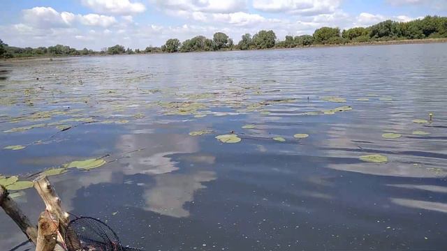 Рыбалка за 2 часа. Нам повезло!)) Удочка, которая спасла рыбалку! смотреть онлайн