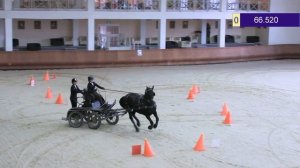 Виды конного спорта. Драйвинг. Паркур. Экипаж Здоровой и арабо-фризского Дарк Дика