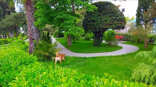 ▶️ КРЫМ СЕГОДНЯ. ЭТО НЕ ЯЛТА - ПРОСТО СКАЗКА .СЕЗОН 2023. ЧУДЕСНЫЙ ПАРК. УЛИЦА ЛЕНИНА смотреть онлайн