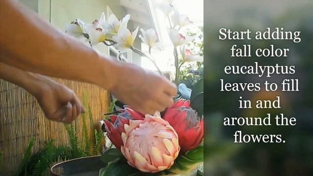 Protea ikebana ( Time lapse video) смотреть онлайн
