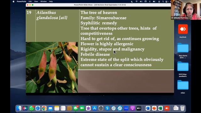 CME - Full revision of Sapindales and the family Cornales by Dr Vishpala Parthasarathy смотреть онлайн