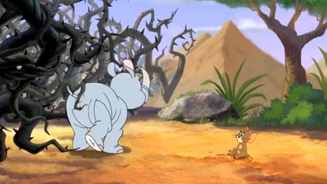 Tom and Jerry, Episode Jungle Love смотреть онлайн
