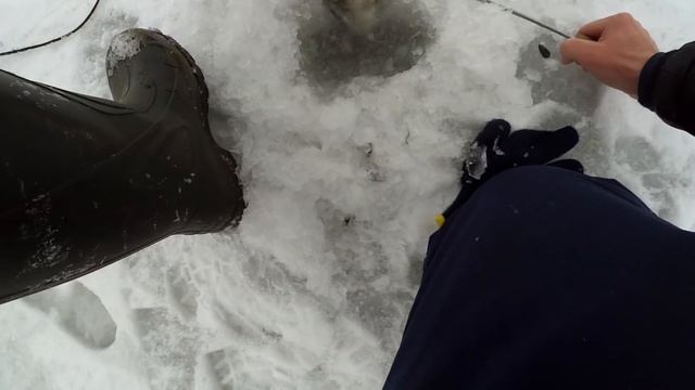 Щука на жерлицы. Отличная ловля щуки зимой 2018 смотреть онлайн