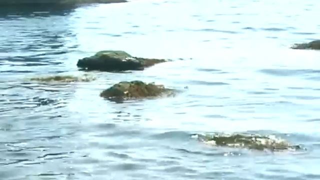 Море под музыку саксофонарелакс) 1 смотреть онлайн