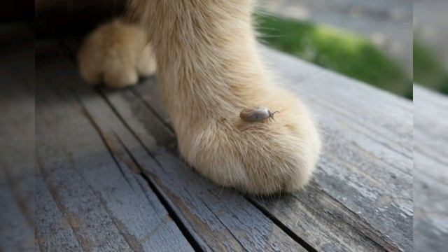 Секреты Креатива