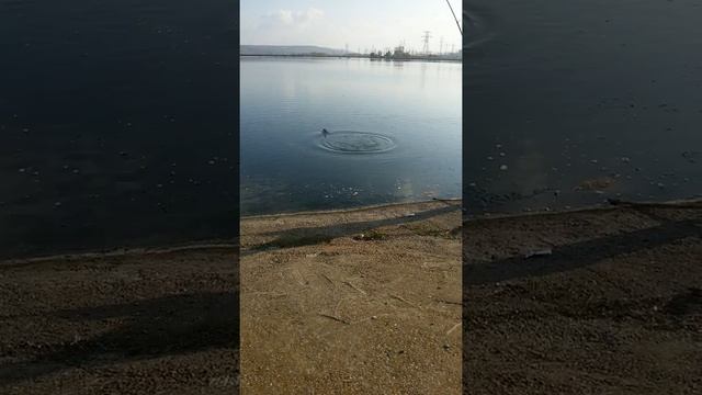 Рыбалка в Заинске смотреть онлайн