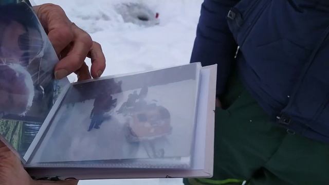 КОЛТУШИ | ПАВЛОВО | КОЛТУШСКОЕ ОЗЕРО | ИНТЕРВЬЮ ОТ ОПЫТНОГО СПЕЦИАЛИСТА | ГЛУХОЗИМЬЕ смотреть онлайн