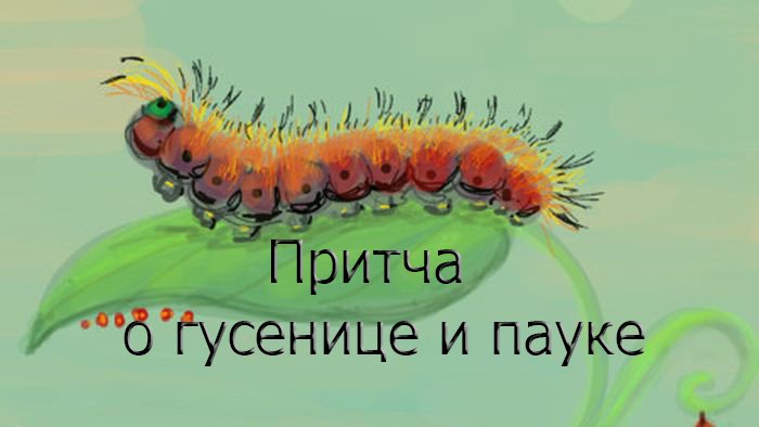 Притча №4 "О гусенице-шелкопряде и пауке"!