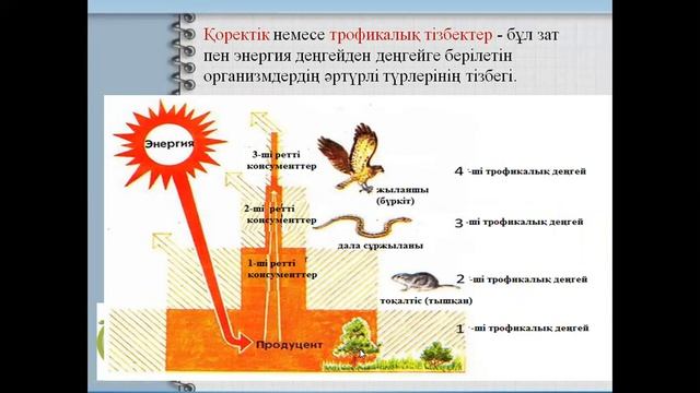 коректік тізбек смотреть онлайн