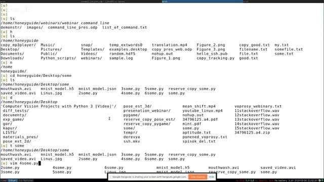 Командная строка Linux Продвинутое владение смотреть онлайн