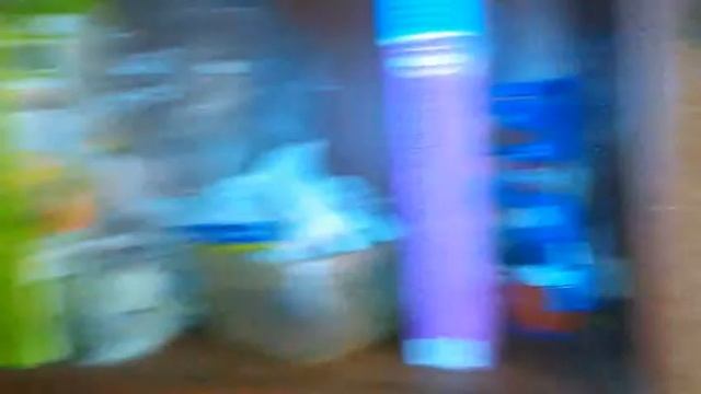 Влог "Моя квартира и мои животные" смотреть онлайн