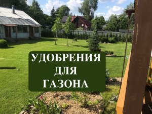 Удобрения для газона. Что и когда вносить.