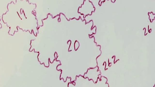 Studying Lichens смотреть онлайн
