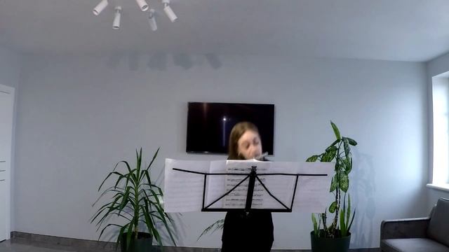 S.Karg-Elert - Sonate (Appassionata) Op.140 смотреть онлайн