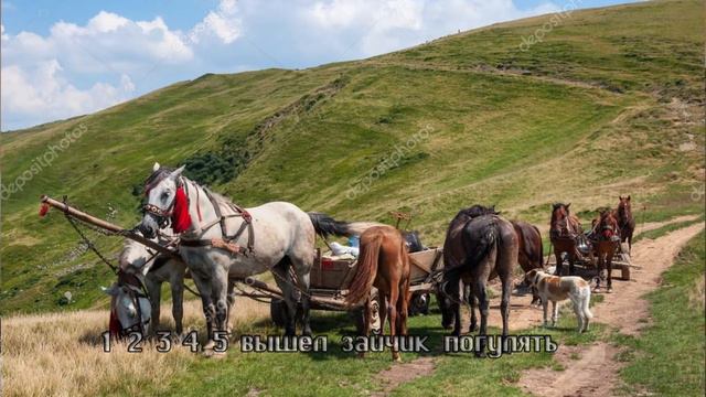 Цыганские песни  Цыганская эстрада Песни 0024