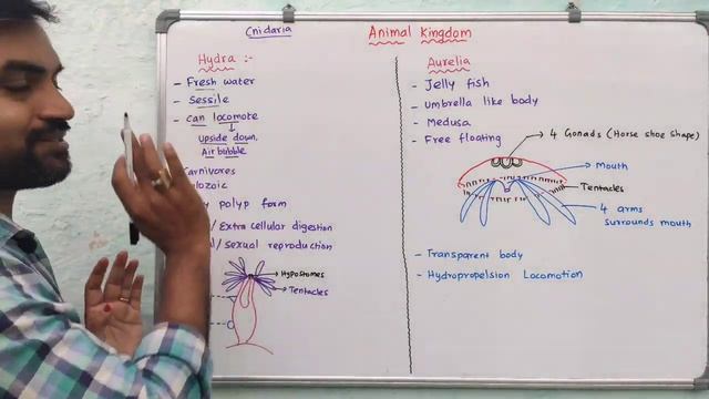 Animal Kingdom | Part 7 | Phylum : Cnidaria смотреть онлайн