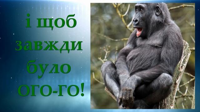 Прикольне Привітання ЧОЛОВІКАМ З Днем Народження! смотреть онлайн