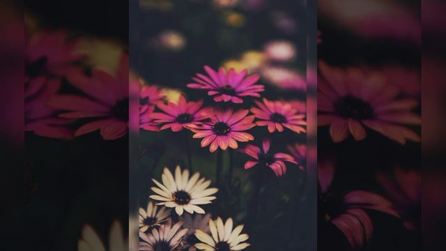 You Are God From Beginning To The End by (Nathaniel Bassey) смотреть онлайн