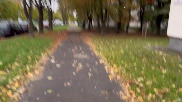 ?IPhone 15 Pro Max Natural Titanium/iPhone 12 Pro:сравнение, выводы?#iPhone#15promax#iphone15promax