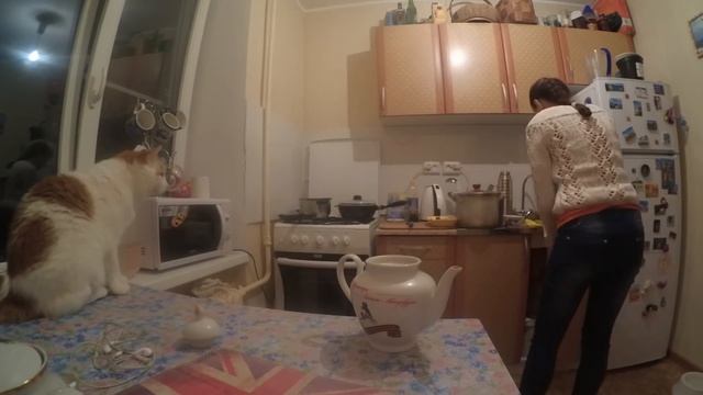 Влог 04.02.16 Сколько весит пицца?) смотреть онлайн
