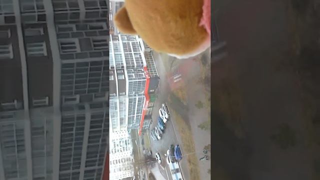 Уход за сиба ину 2 часть♡● смотреть онлайн