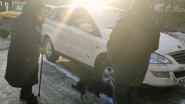 Бонита переехала в Москву:) Первые минуты встречи. смотреть онлайн