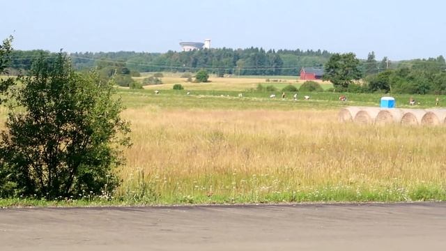 СБОР КЛУБНИКИ В ФИНЛЯНДИИ ! АДСКИЙ ТРУД !!! смотреть онлайн