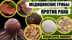 МЕДИЦИНСКИЕ ГРИБЫ лечат РАК. Доктор-онколог говорит про рейши, шиитаке, майтаке, чагу, траметес и др