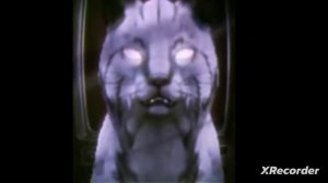 вилд крафт Тик Ток