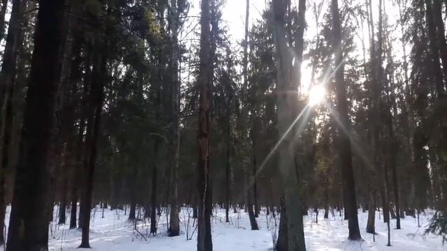 Та самая прогулка, на которой разбился телефон смотреть онлайн