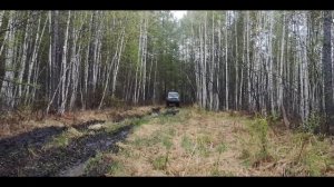 Самоблоки Лесоход