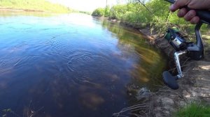 ЭТОТ ВОБЛЕР для ЛОВЛИ ЖЕРЕХА творит ЧУДЕСА. Рыбалка на жереха  весной.