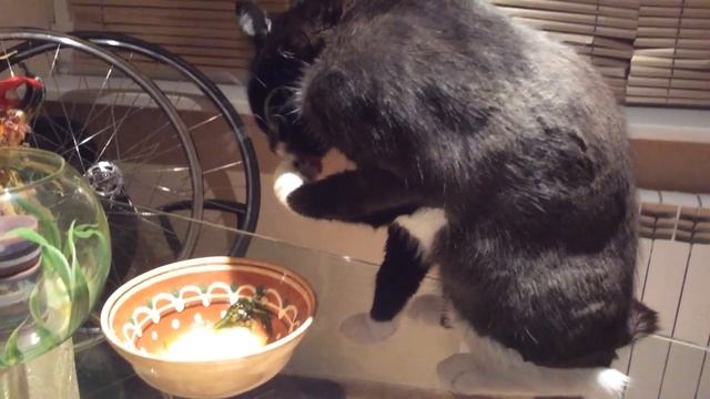 Герман кушает суп ☺️???